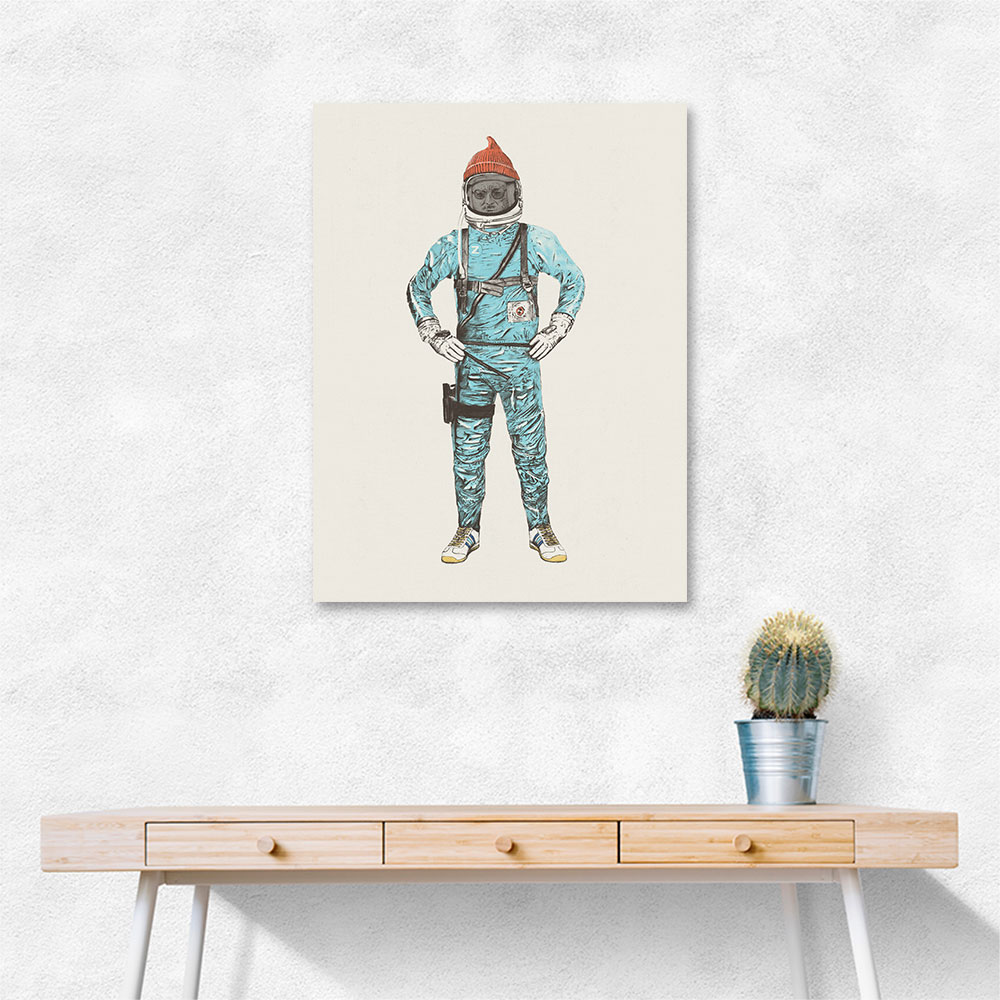 Zissou In Space