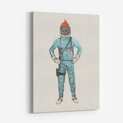 Zissou In Space