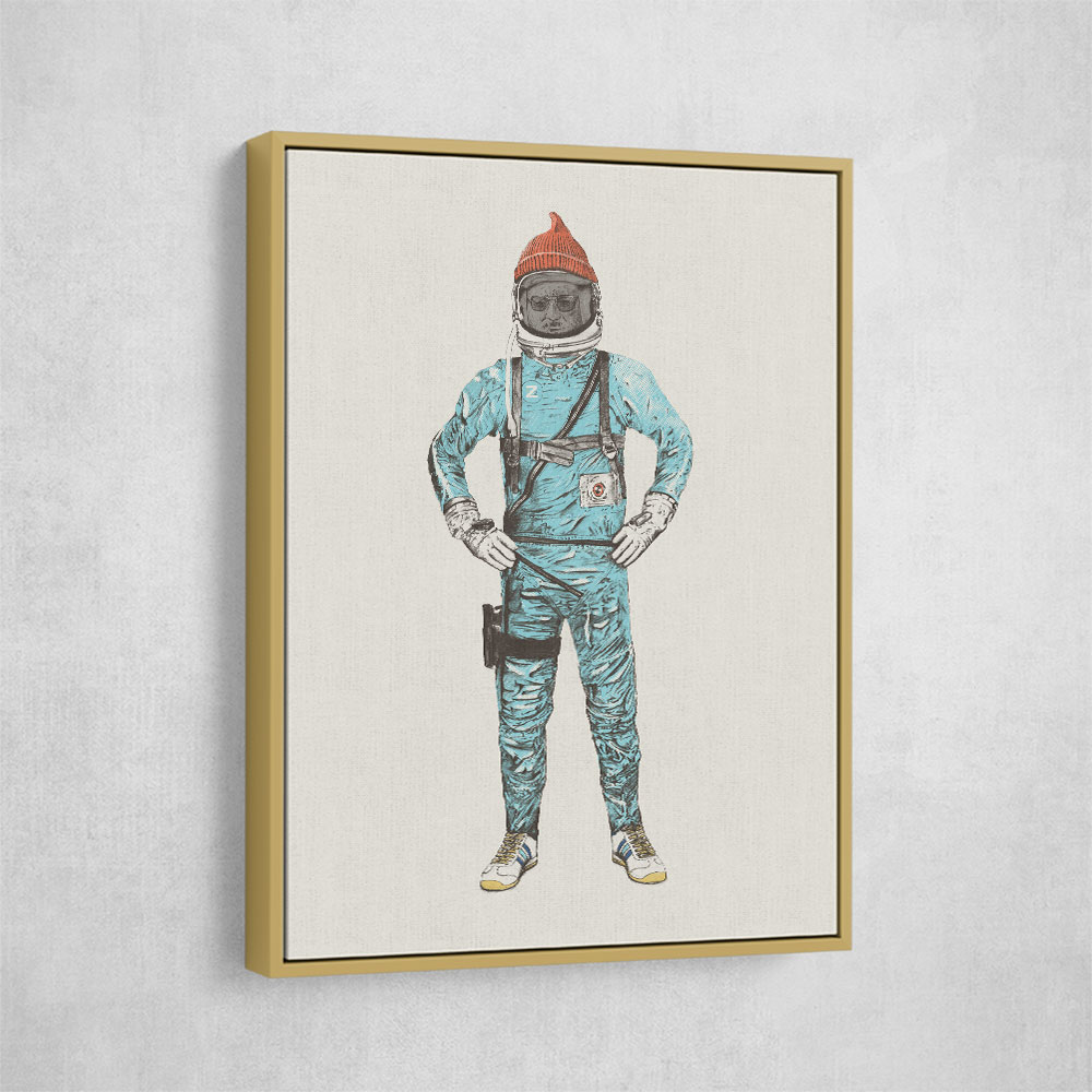 Zissou In Space