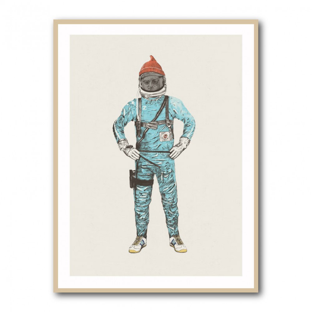 Zissou In Space