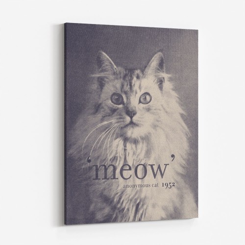 Buy Cat Themed Wall Art in Dubai Artworks.ae