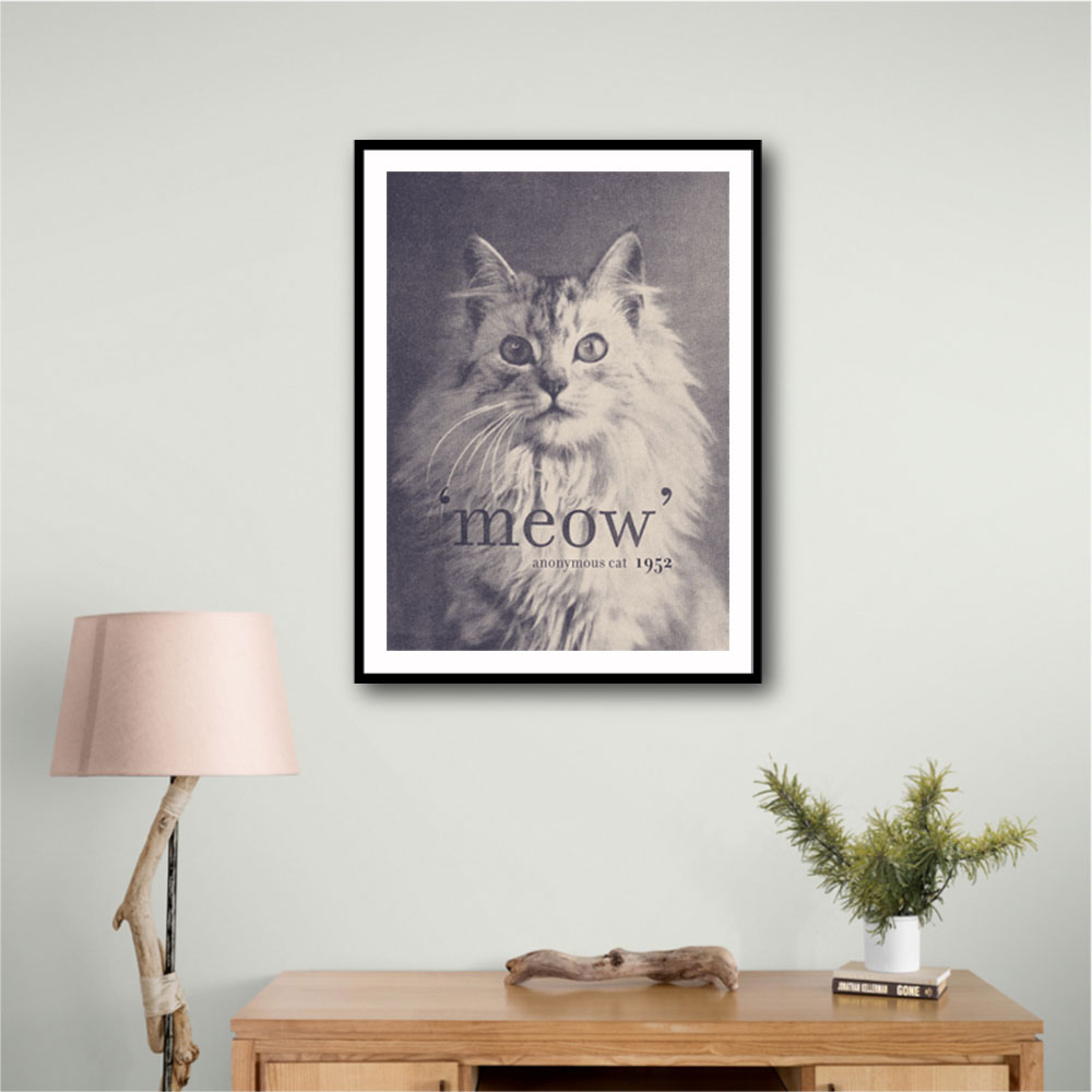 Famous Quote Cat Famous Quote Cat