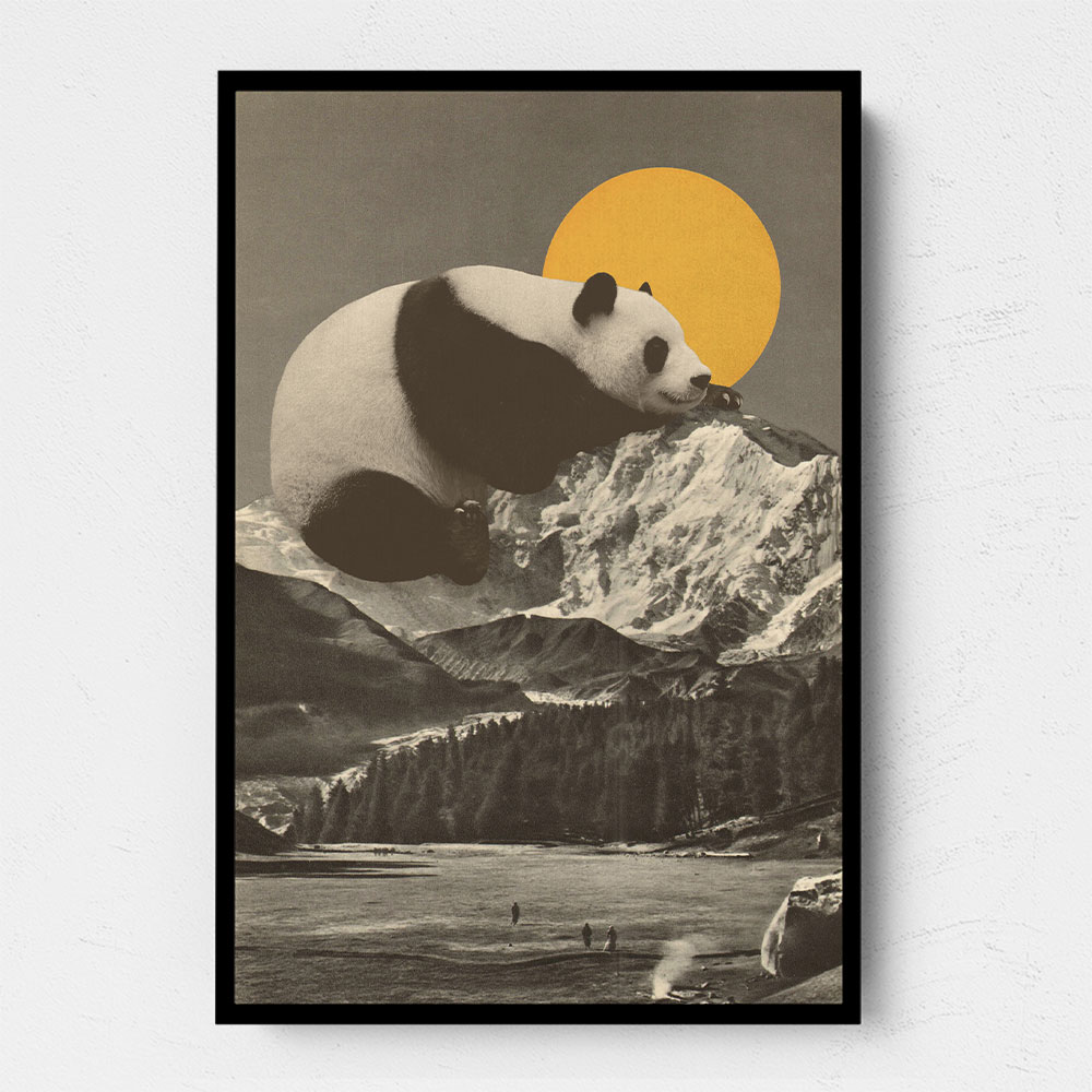 Giant Panda Nap