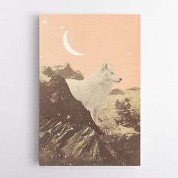 Giant White Wolf In Mountains