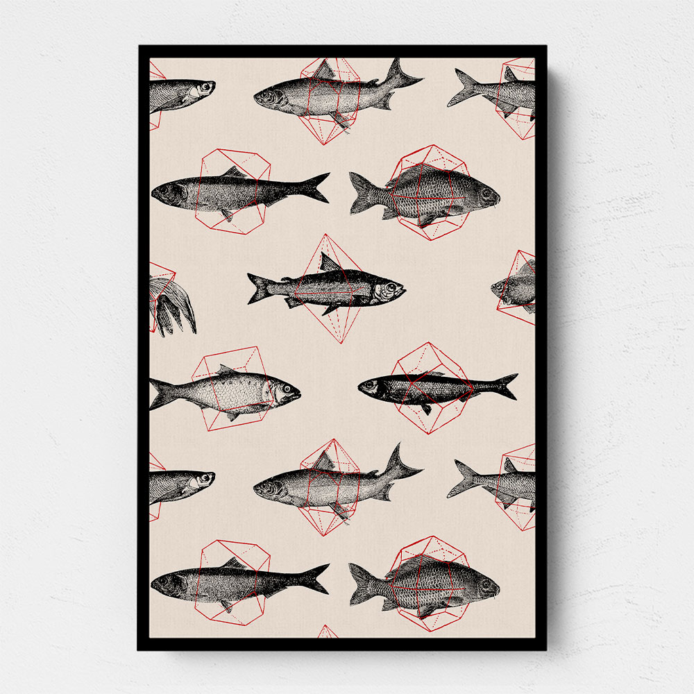 Fishes In Geometrics NAo4