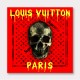 Louis Vuitton Supreme Skull