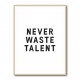 Never Waste Talent Never Waste Talent