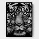 Tiger Tiger
