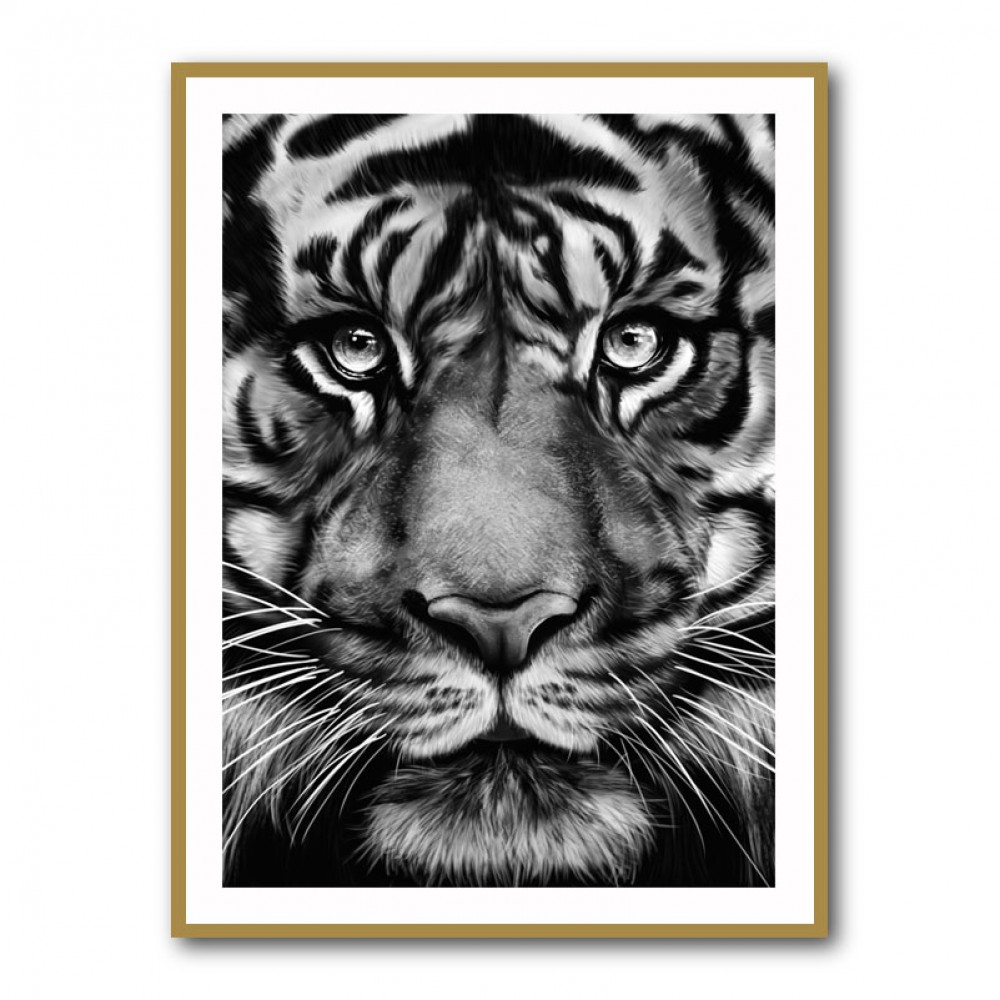 Tiger Tiger