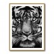 Tiger Tiger