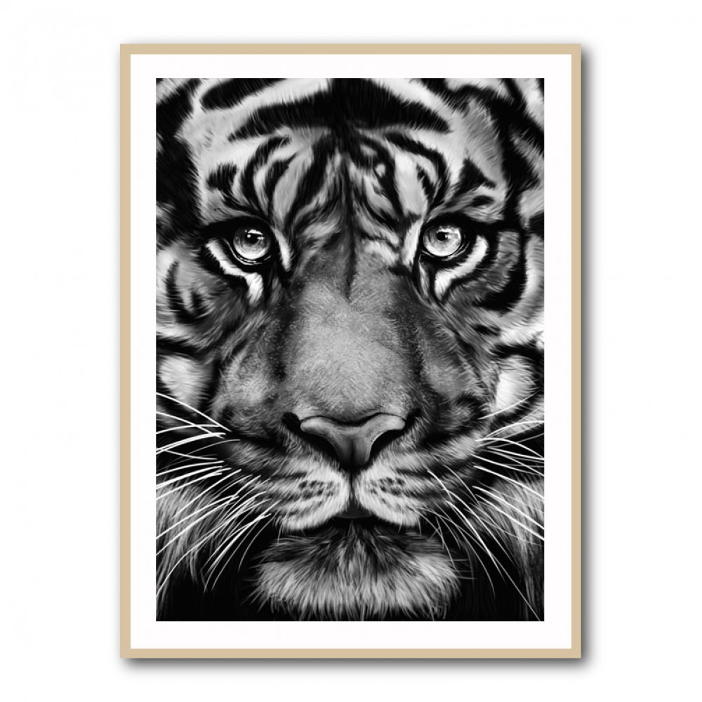 Tiger Tiger