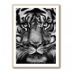 Tiger Tiger
