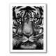 Tiger Tiger