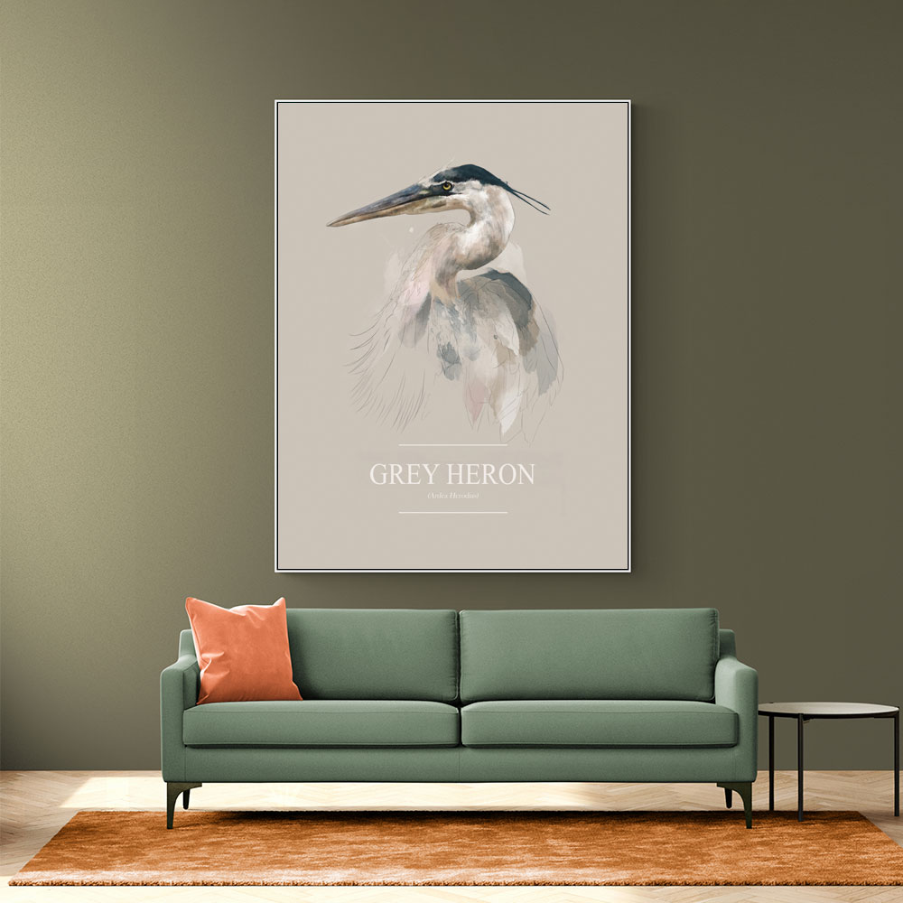 Grey Heron