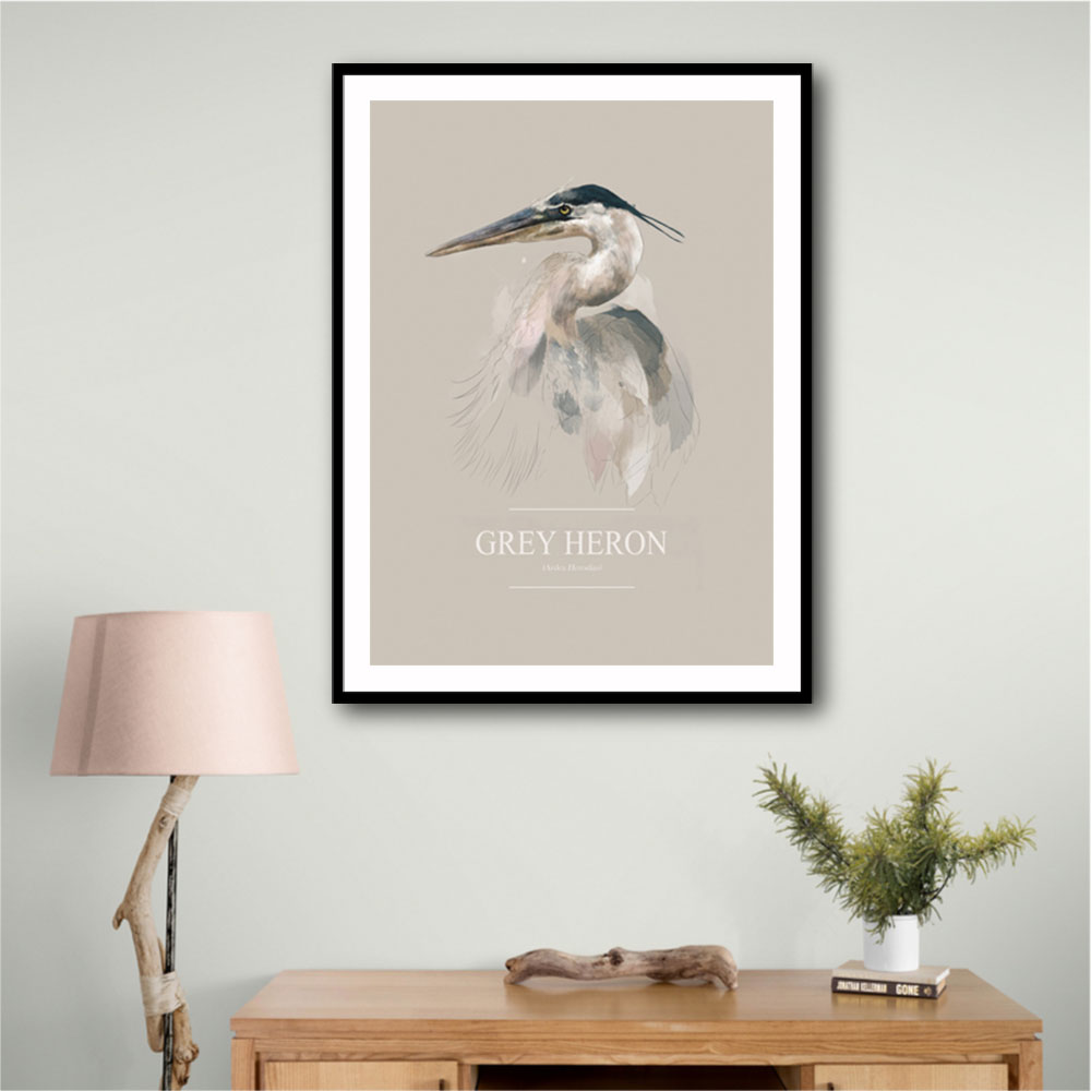 Grey Heron