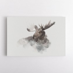 Elk