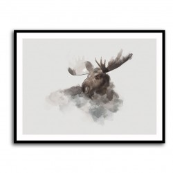 Elk