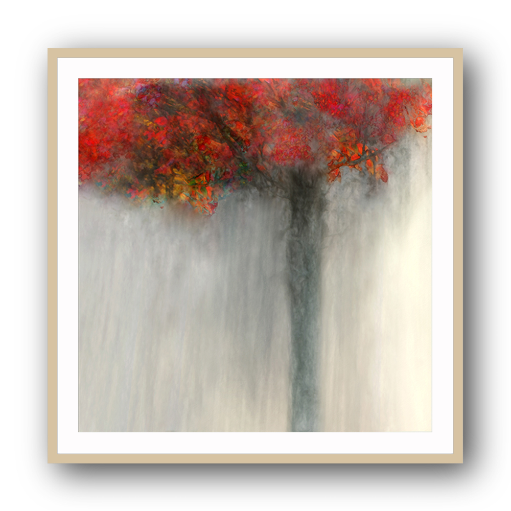 Fiery Autumn Fiery Autumn