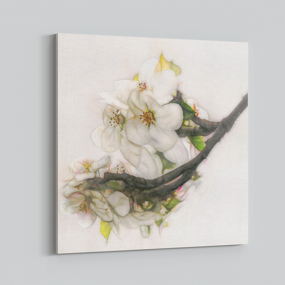 Ornate Blossom Ornate Blossom