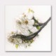 Ornate Blossom Ornate Blossom