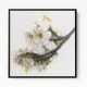 Ornate Blossom Ornate Blossom