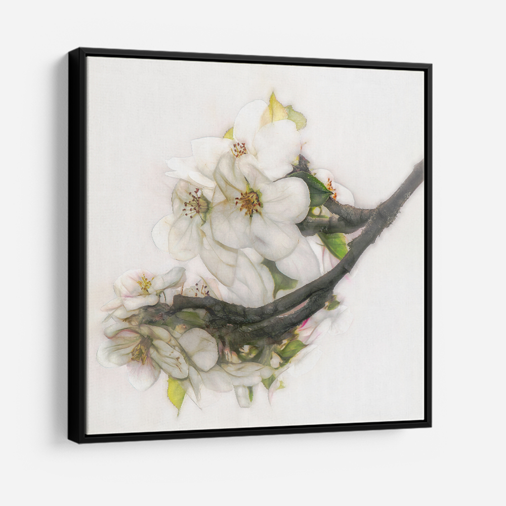 Ornate Blossom Ornate Blossom