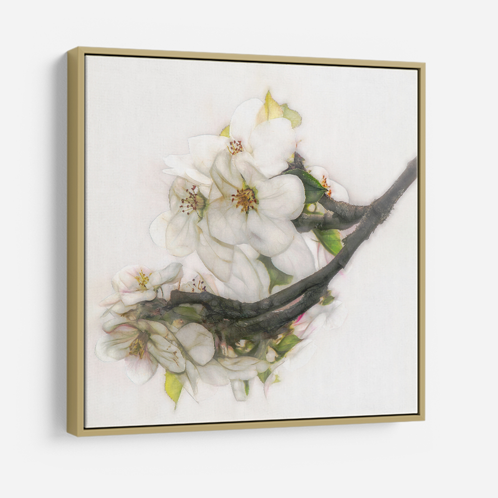 Ornate Blossom Ornate Blossom
