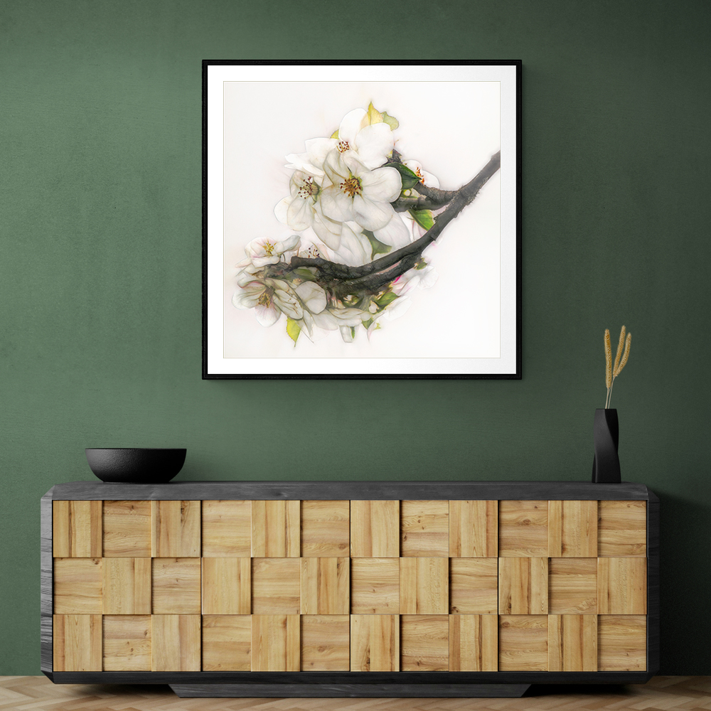 Ornate Blossom Ornate Blossom
