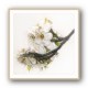 Ornate Blossom Ornate Blossom