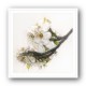 Ornate Blossom Ornate Blossom