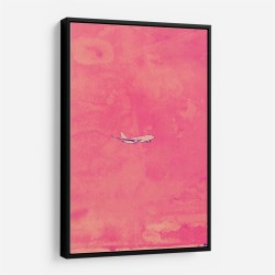 Plane Wall Art