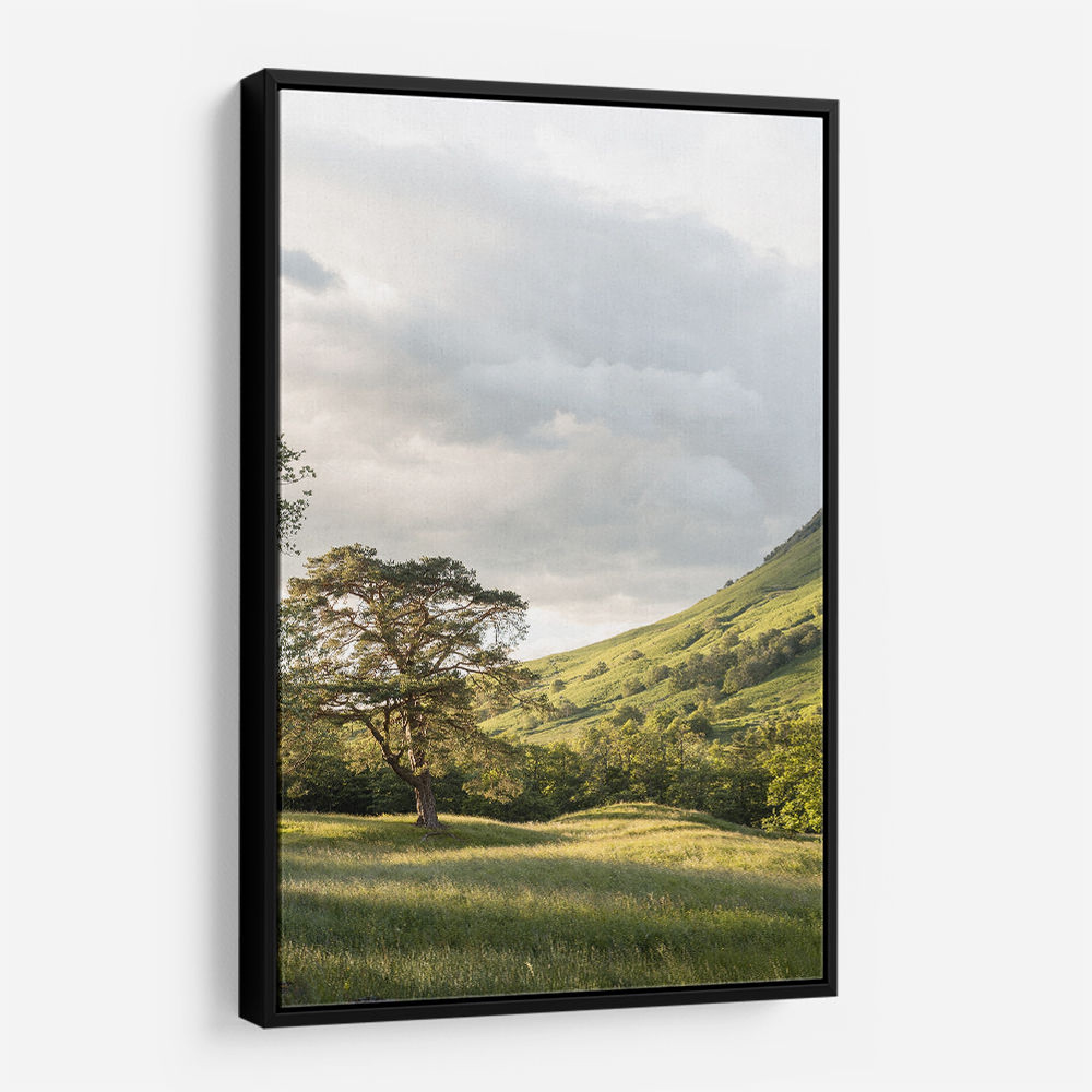 Into the Highlands Wall Art