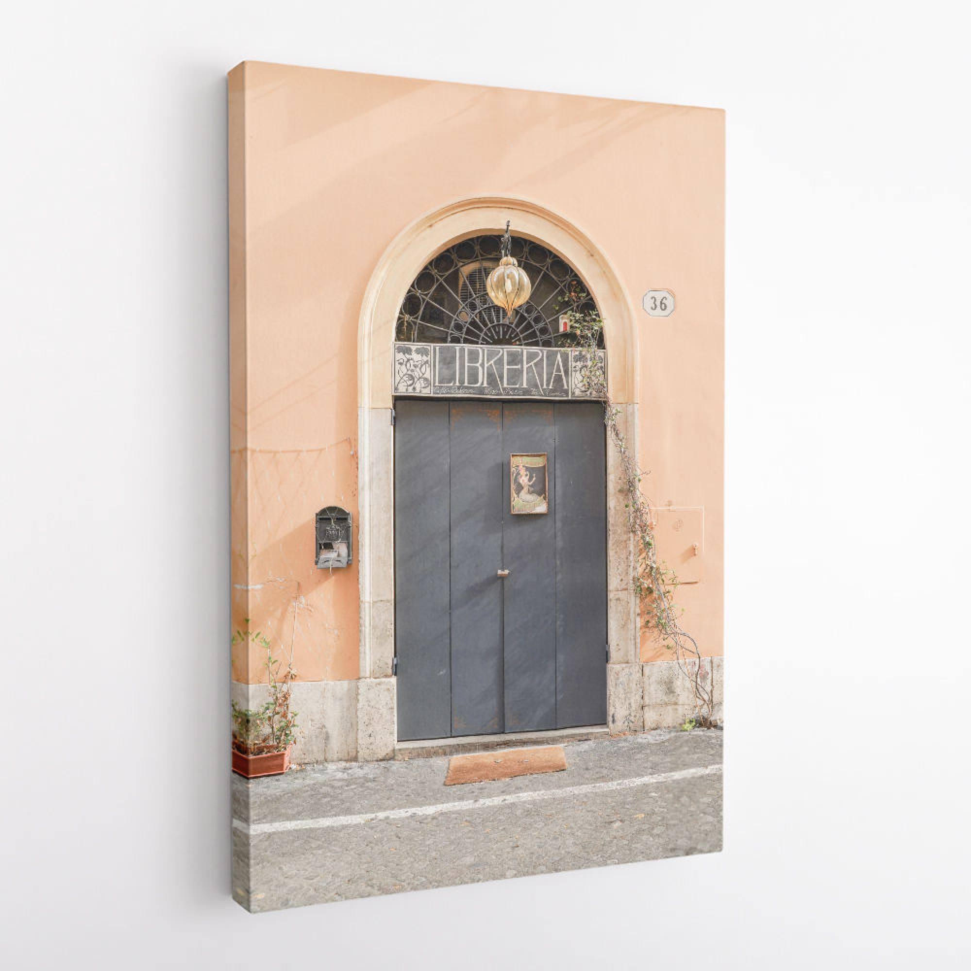The Libreria Door Wall Art