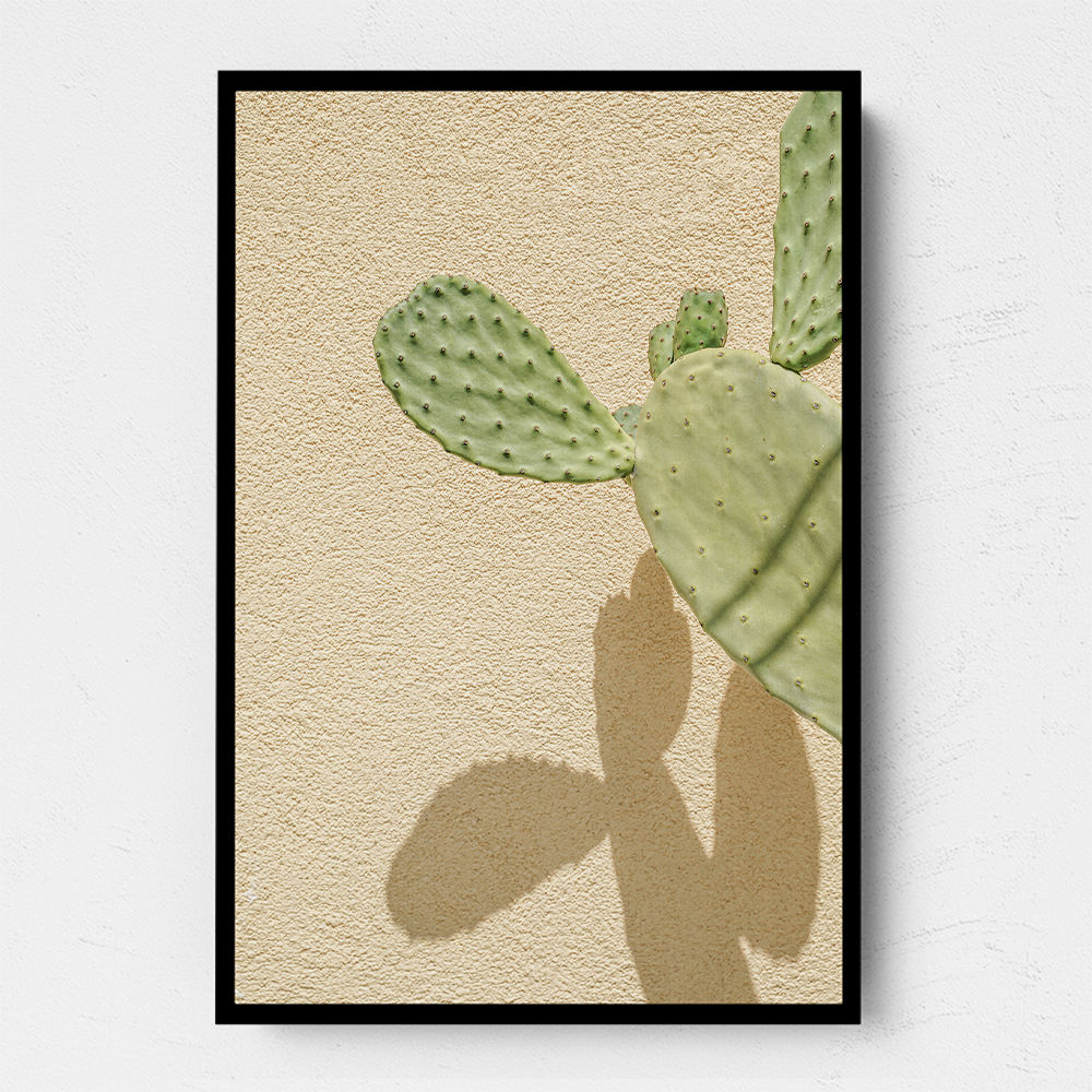 Cacti Shadowplay