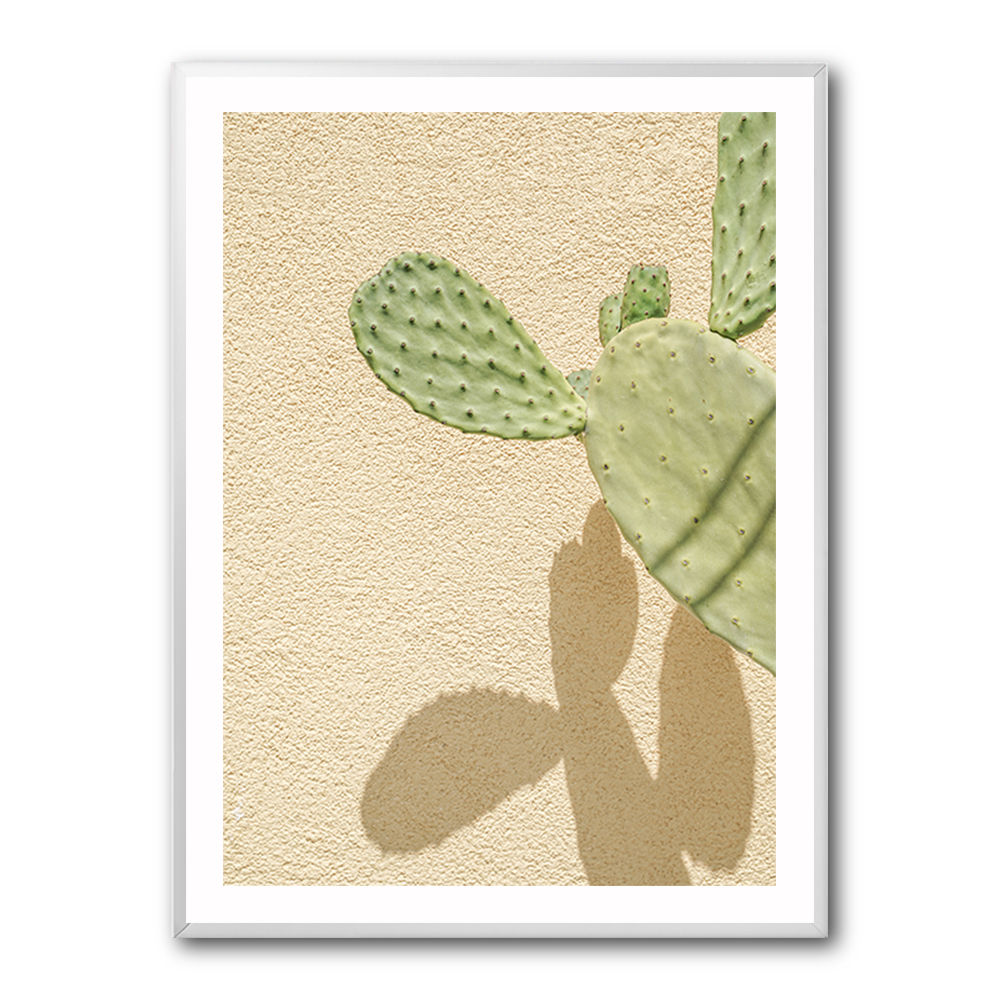 Cacti Shadowplay
