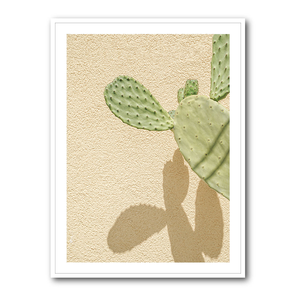 Cacti Shadowplay