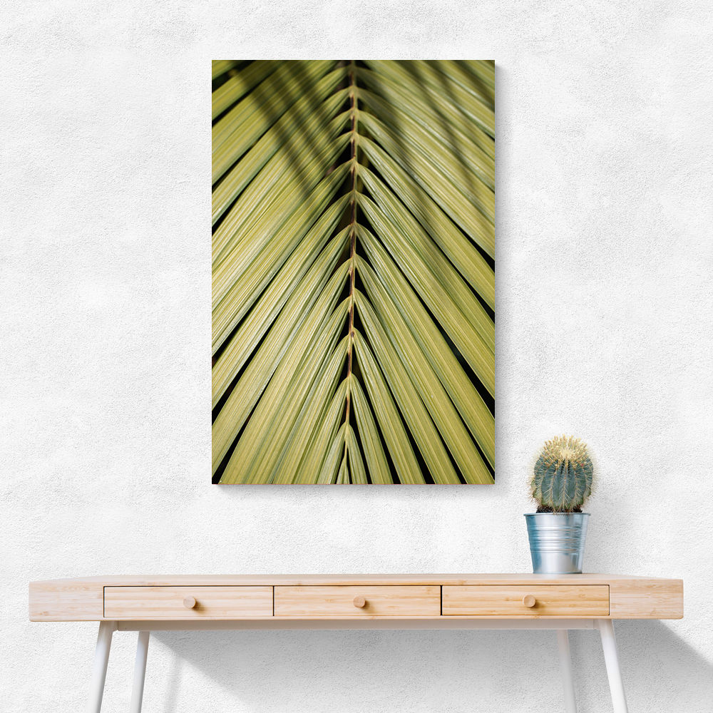 Tropical Leaf