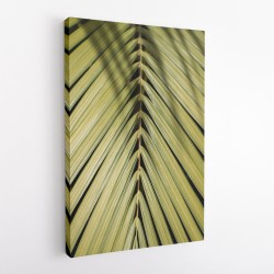 Tropical Leaf