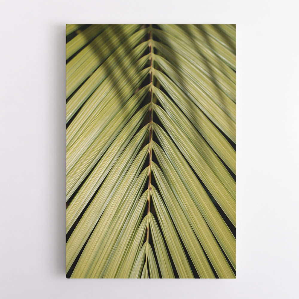 Tropical Leaf