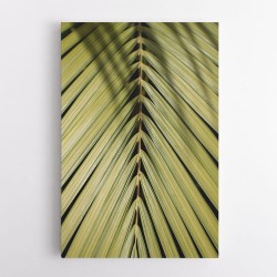 Tropical Leaf