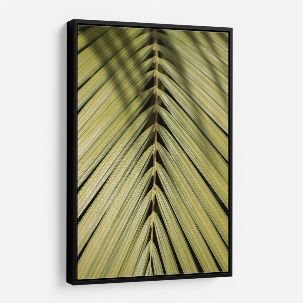 Tropical Leaf