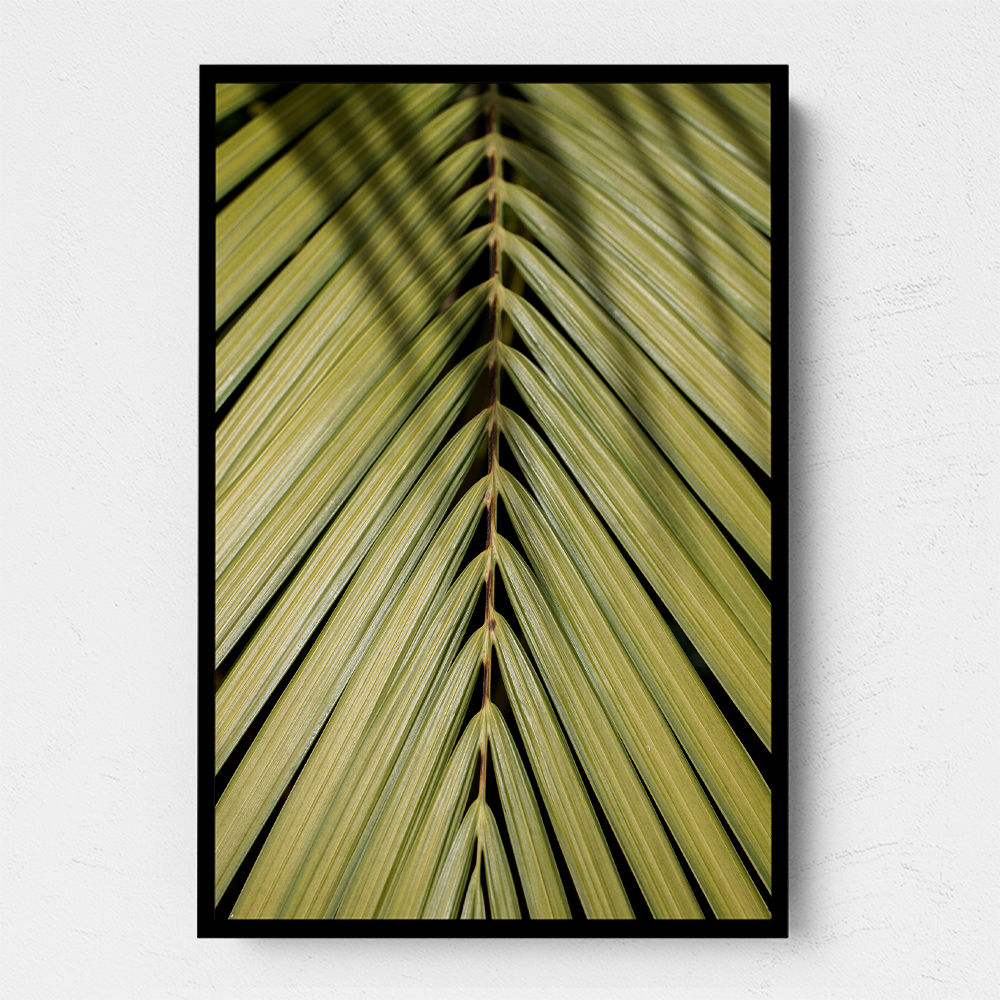 Tropical Leaf