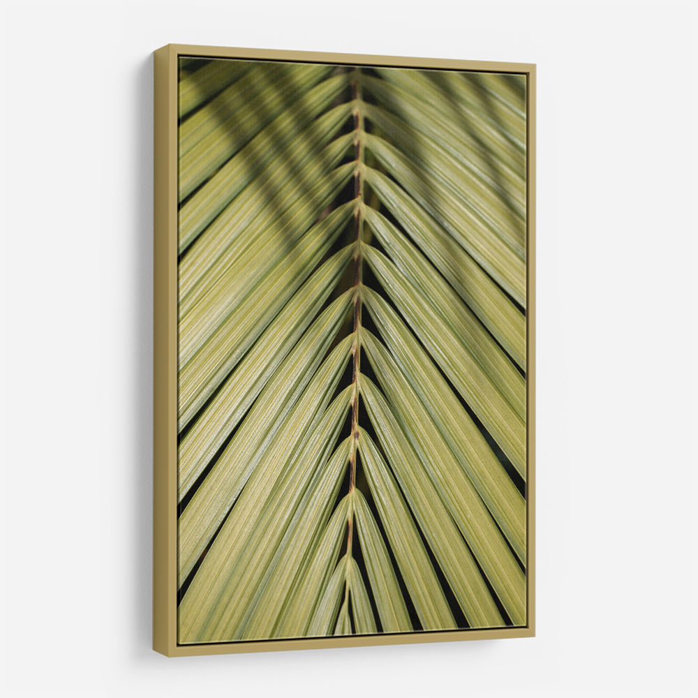 Tropical Leaf