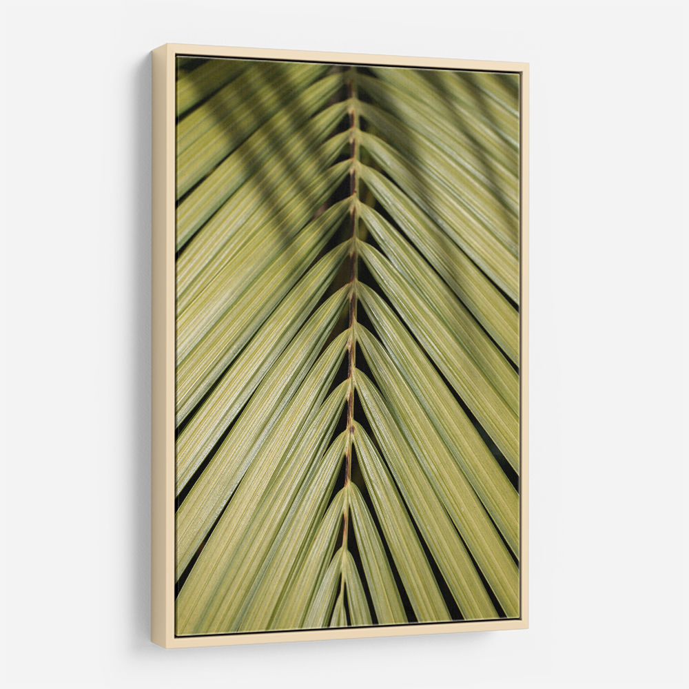 Tropical Leaf