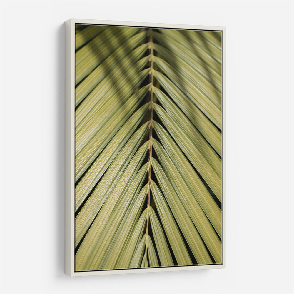 Tropical Leaf