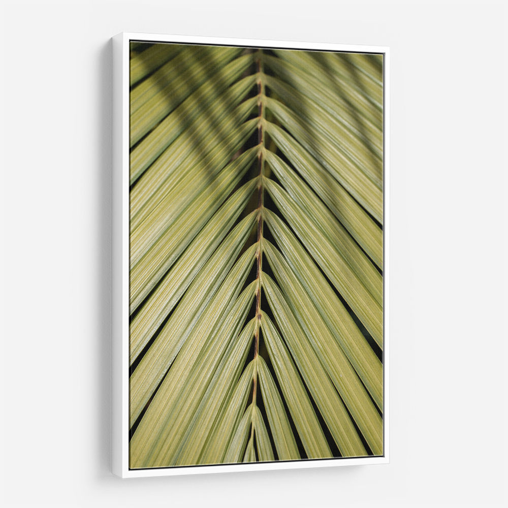 Tropical Leaf