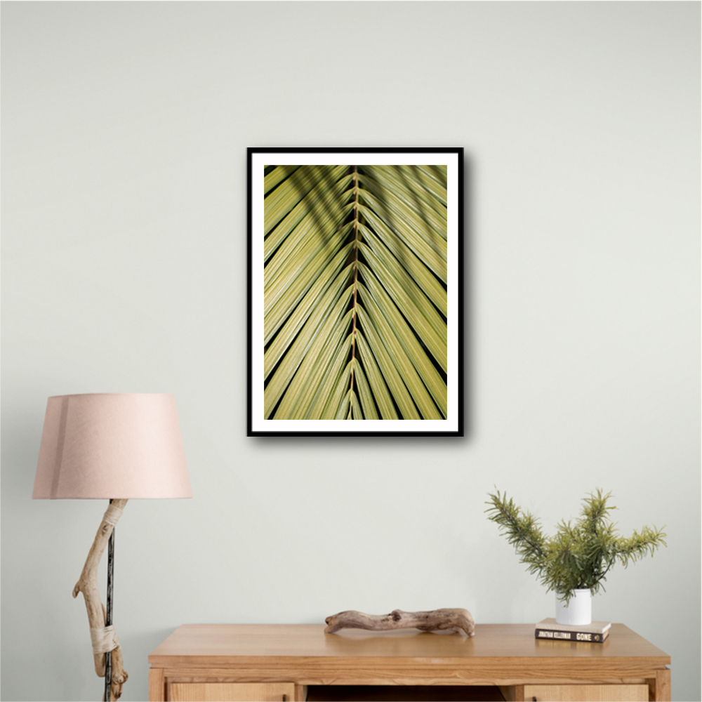 Tropical Leaf