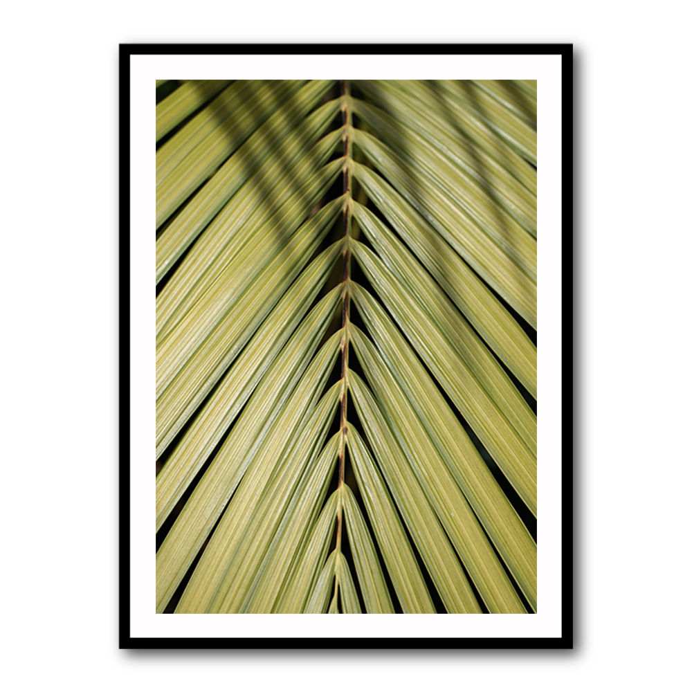 Tropical Leaf