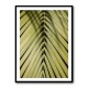 Tropical Leaf
