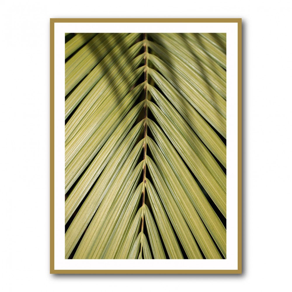 Tropical Leaf